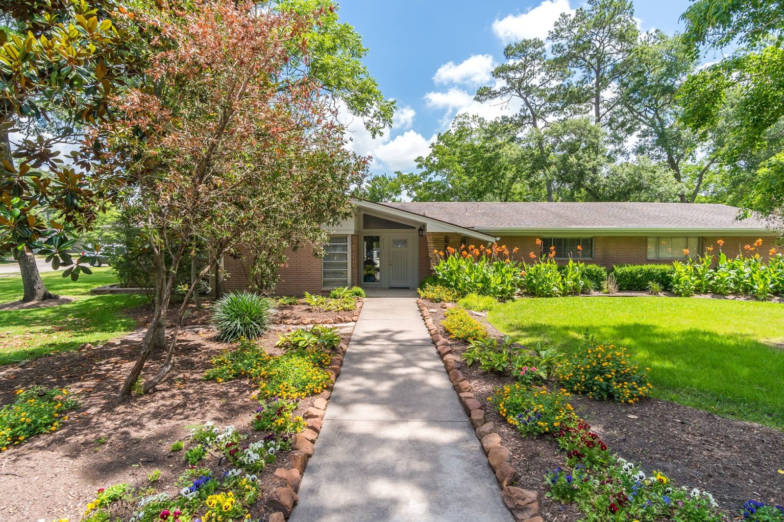 Bay Area Recovery Center