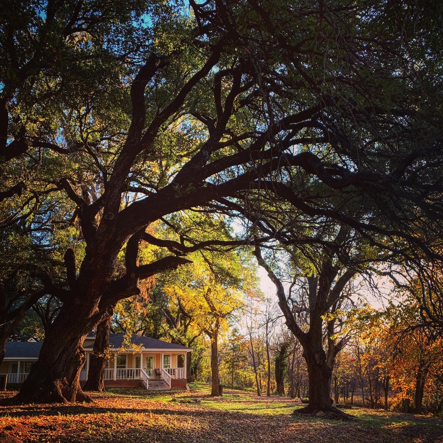 Shades of Hope Treatment Center